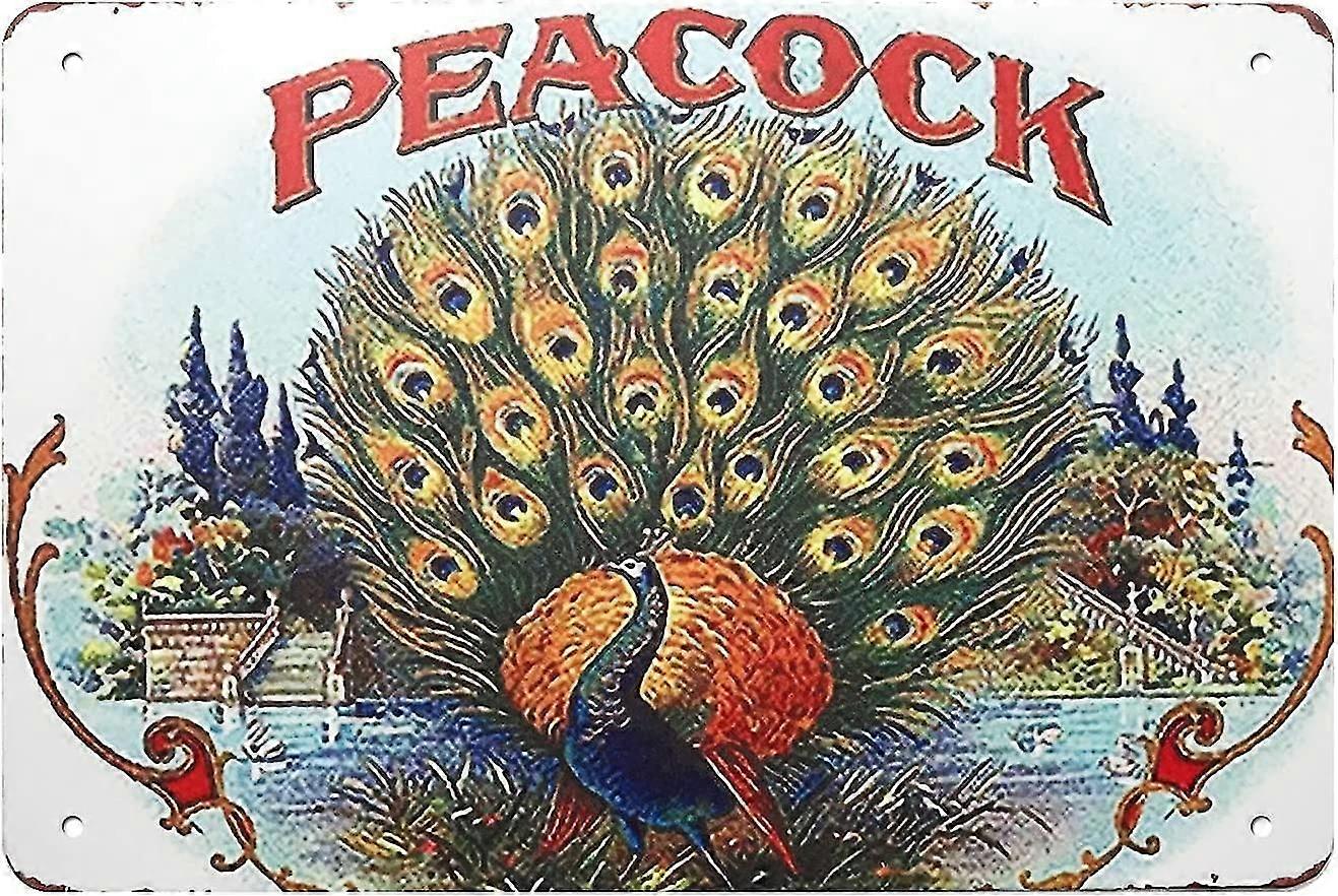 Vintage olhar engraçado metal sinal de lata 8x12 polegadas ou 12x16 polegadas, hula menina na costa Aloha Hawaii Sign, para L