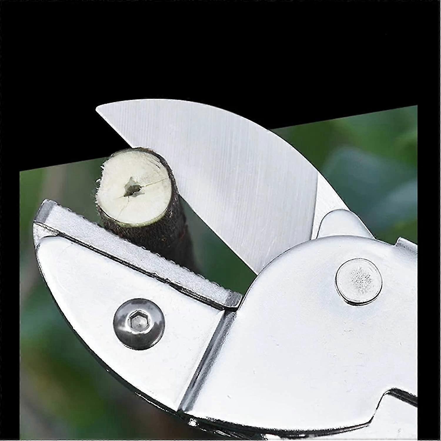 Gärtnerschere Astschere, Schere veredeln, Obstbaumgärtnern