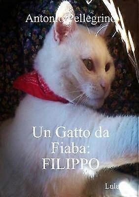 Un Gatto da Fiaba
