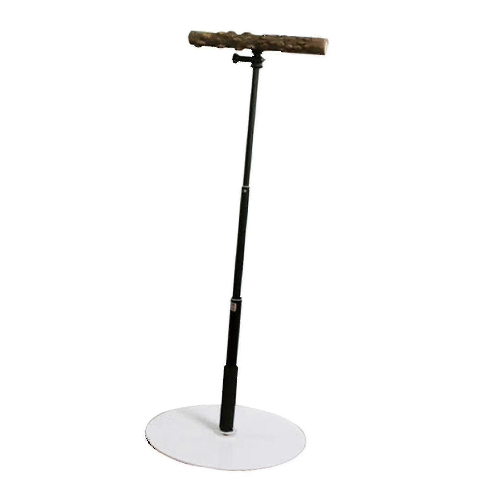 T Stand Parrot Training Playing With Base Cage Bird Perch Standing For Finch -QH