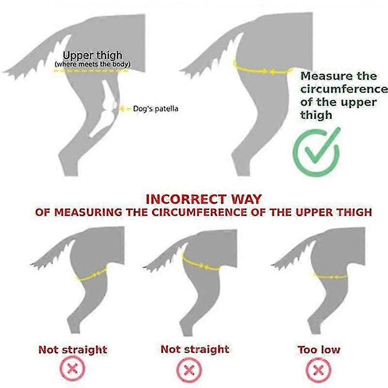 Στήριγμα γόνατος σκύλου για Acl, εξάρθρωση καλύμματος γόνατος, αρθρίτιδα - διατηρεί την άρθρωση ζεστή - επιπλέον υποστήριξη - μειώνει τον πόνο