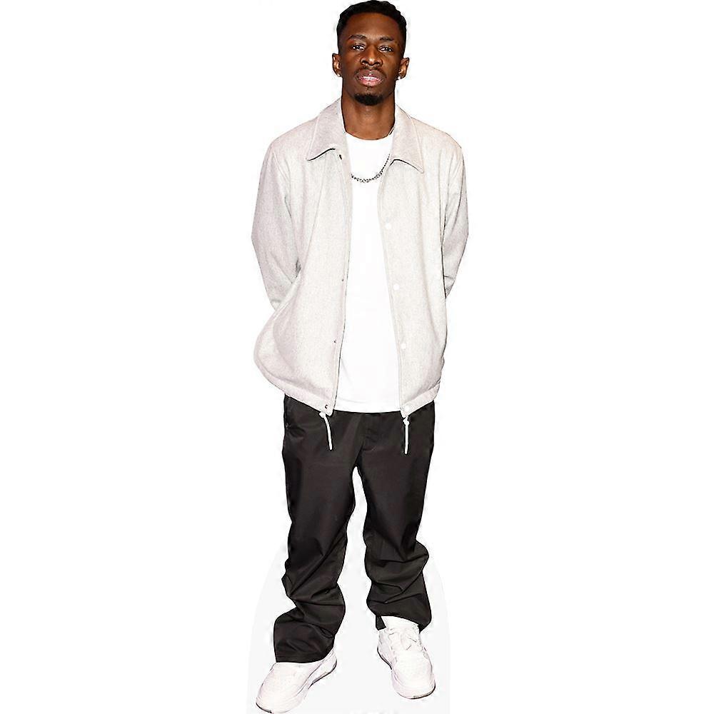 Tobi Brown (Jacket) Cardboard Cutout (lifesize OR mini size). Standee. Stand Up.