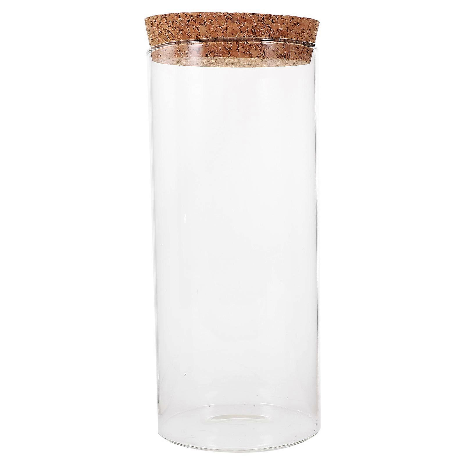 Hydroponic Glass Terrarium Clear Planter Container for Succulents and Moss Multi Functional Decorative Jar with Lid