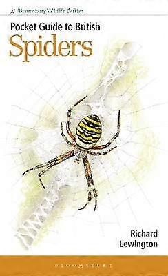 Pocket Guide to British Spiders