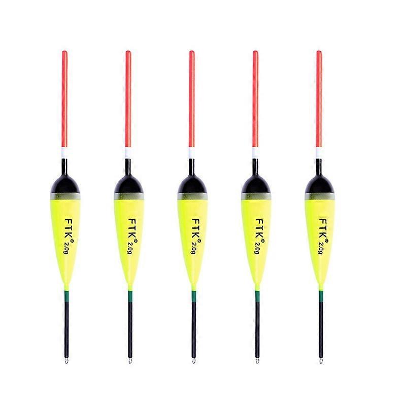 5Pcs Fishing Float Barguzinsky Floats Float 2G-4G for Carp Fishing Fishing Tackles Tools