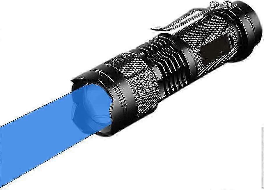 Blue Torch Mini LED Flashlight 3 Modes Blue Light Beam Gift