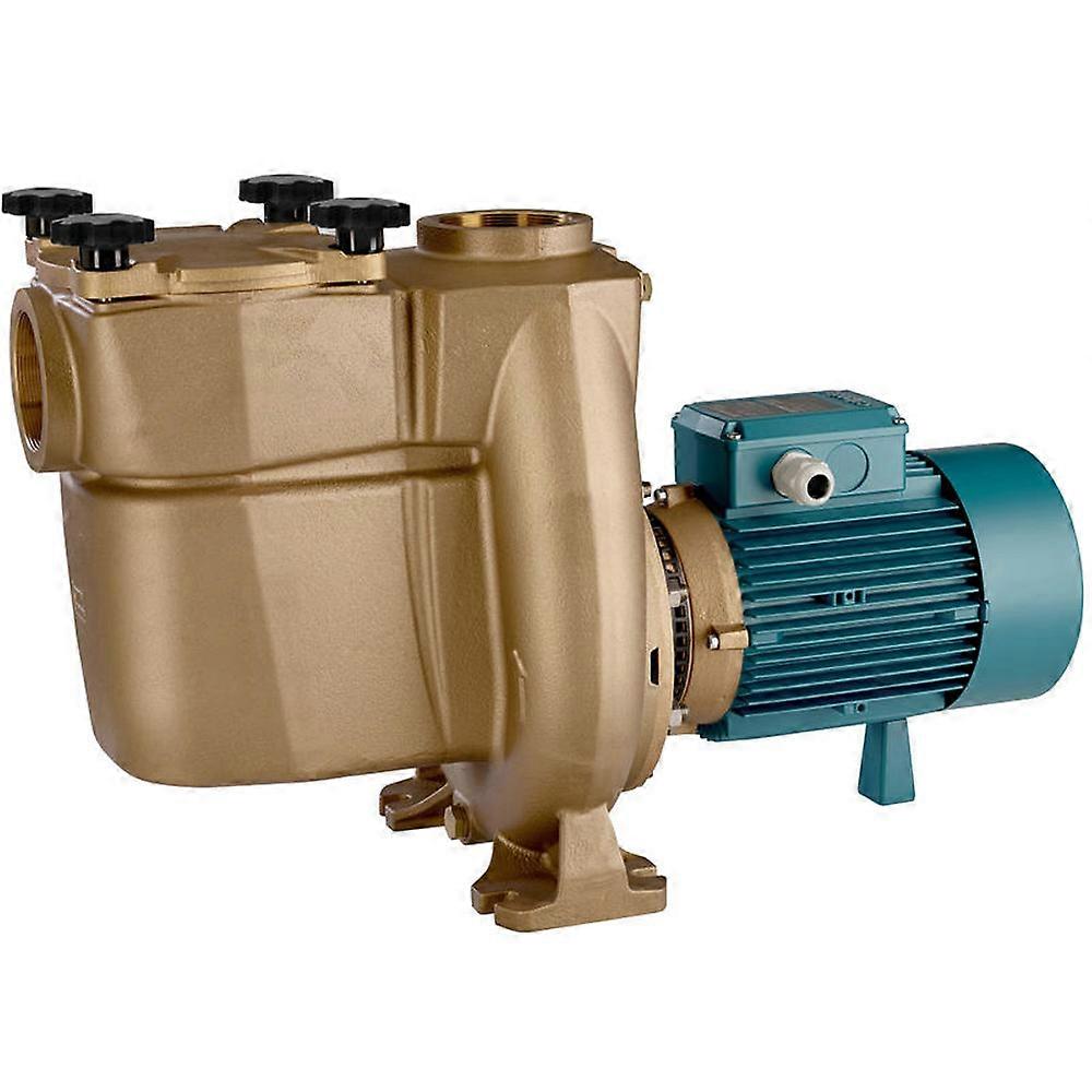 Calpeda Self Priming Pump 4kw, 5.5hp Bronze