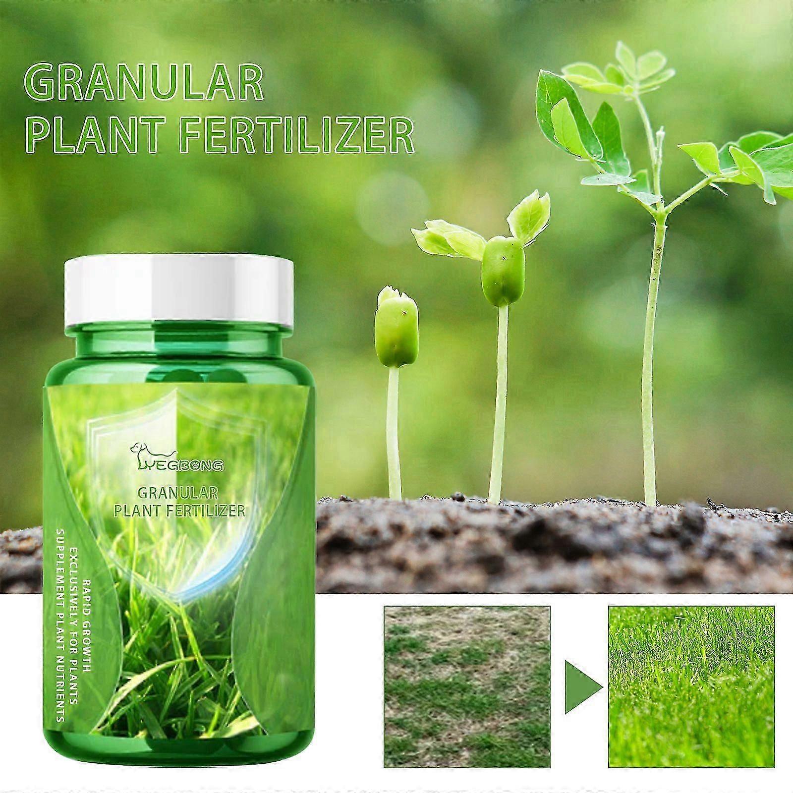Plant Nutrient Capsules - Boost Root Growth , Green Leaves for Thriving Plants