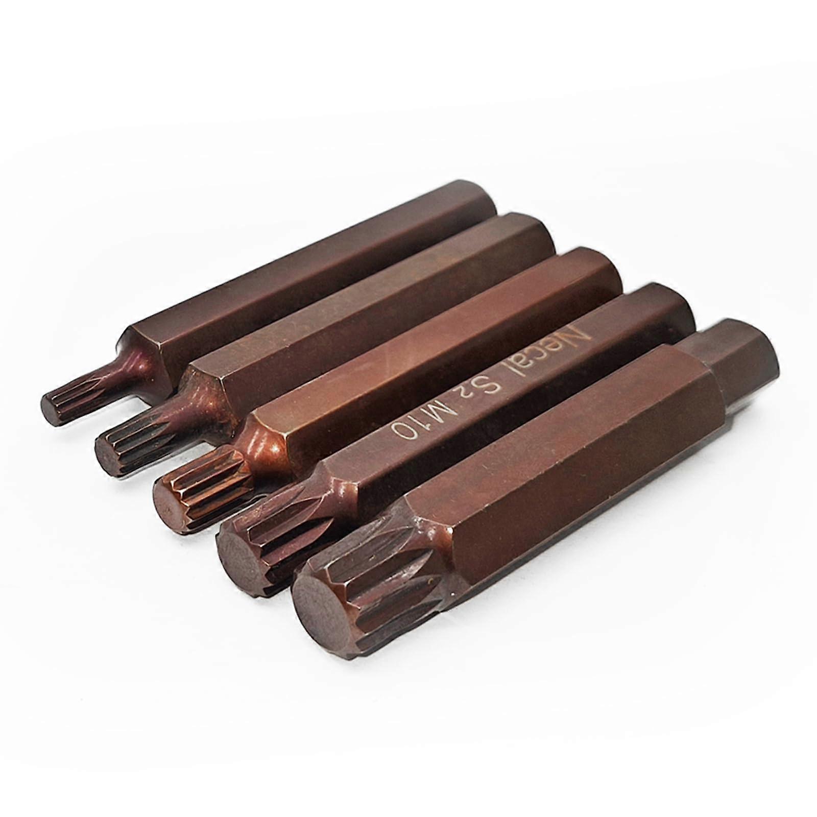 12 Point Torx and Spline Screwdriver Bit Set, S2 Steel, 10mm Hex Shank, M5–M12, 5PCS