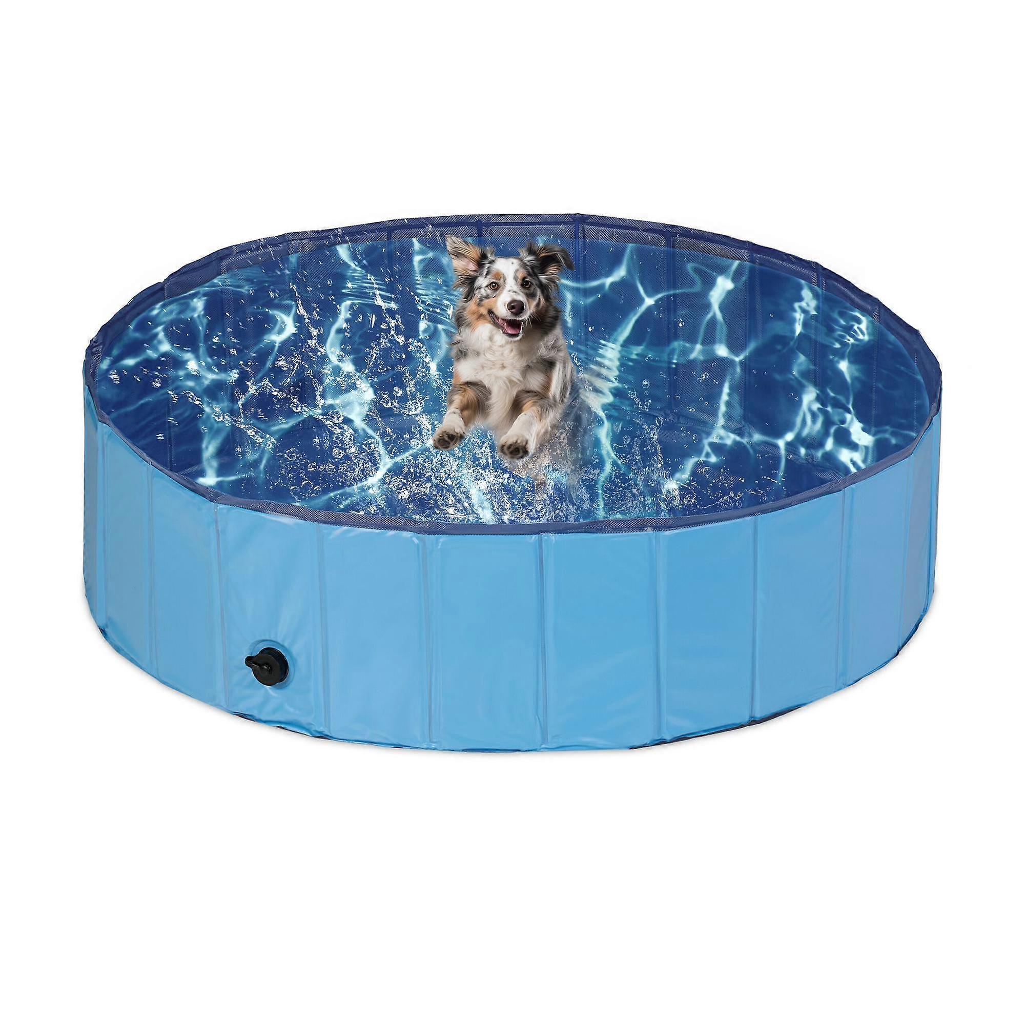 Blue dog pool