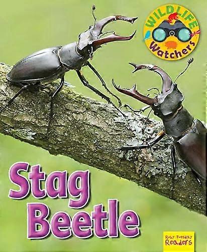 Naturbeobachter: Hirschkäfer: 2017 (Ruby Tuesday Leser)