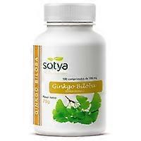 Ginkgo Biloba 100 tablets