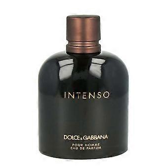 d&g d&g intenso homme edp 200 ml vapo