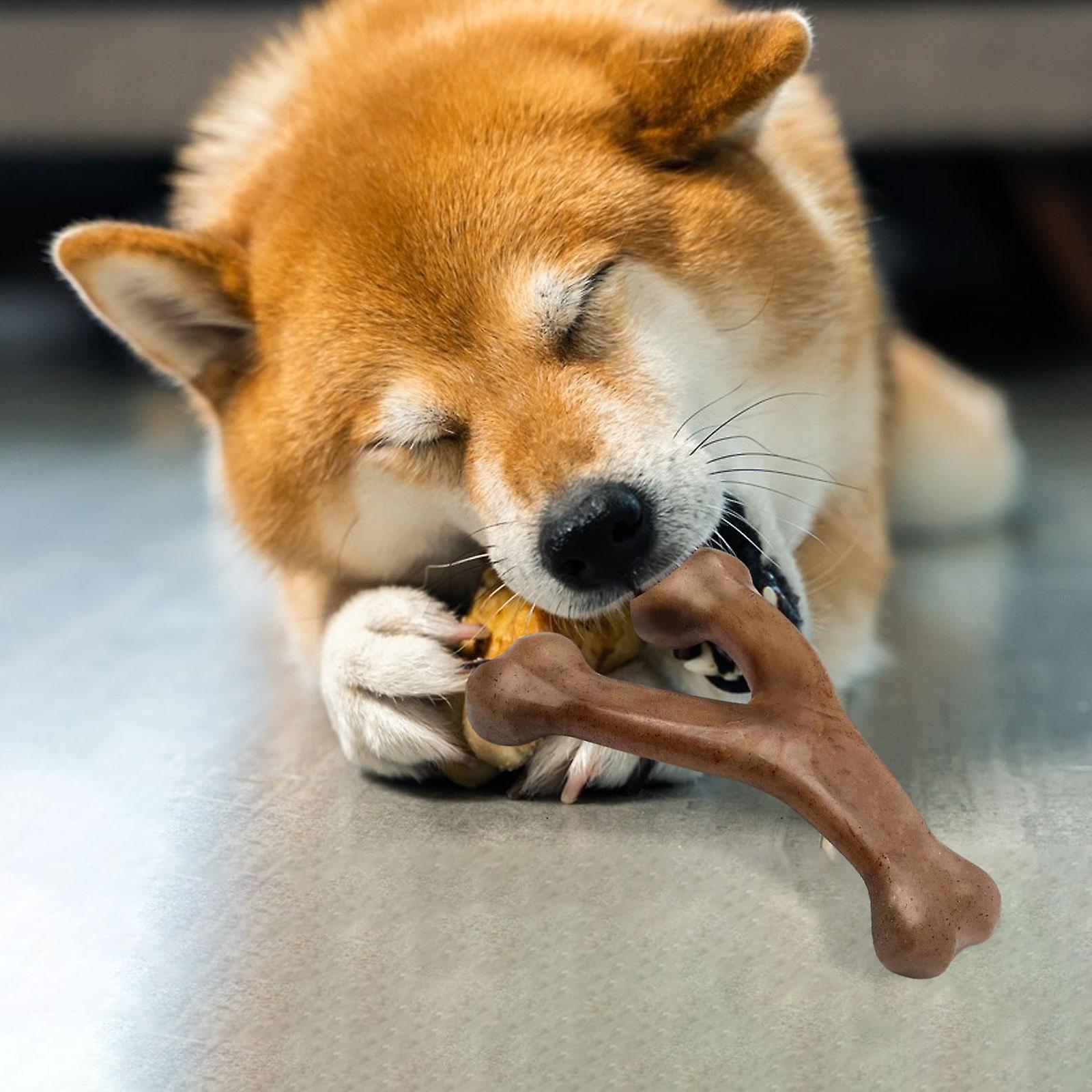 Nylon Dog Chew Toy Bone Shape Easy Cleaning Cleaning Interactive for Aggressive Chewers Tough Dog Toys for Various Dogs Sizes
