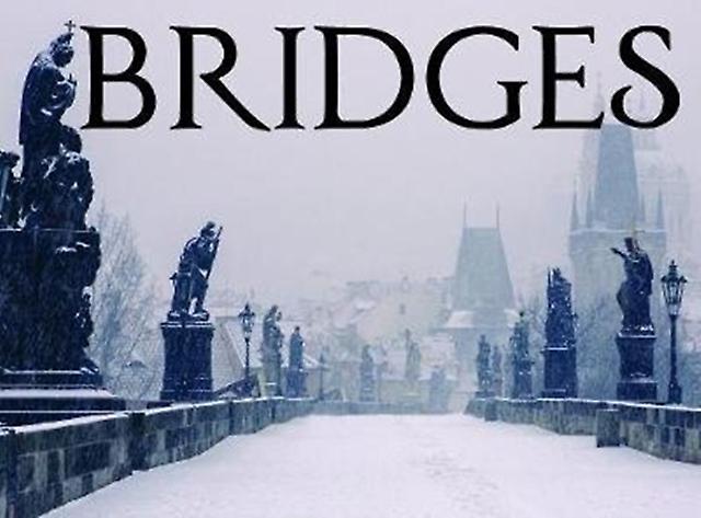 Bridges by David Ross Paperback Book