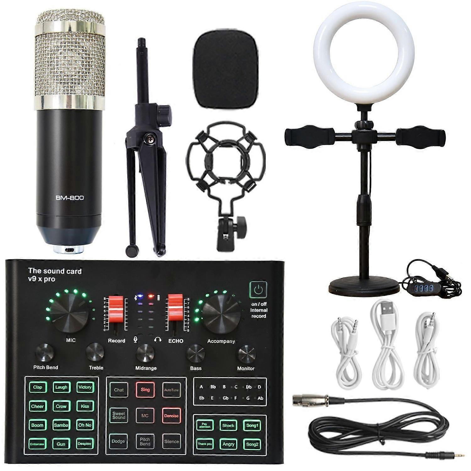 Professional tuning studio sound card silver microphone live sound card set with fill light