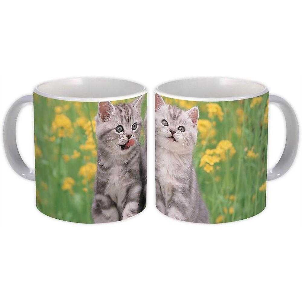 Hediye Kupa: Kedi Hayvan