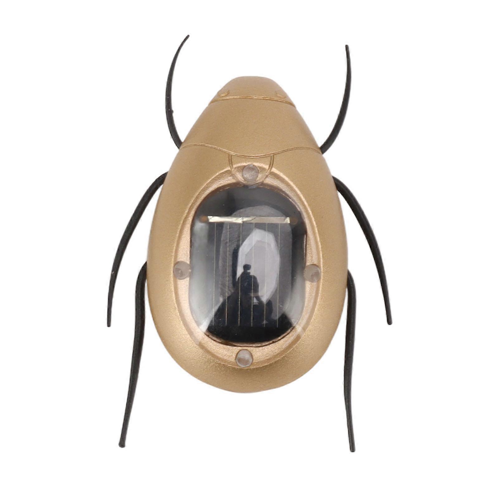 Simulated Insect Model Solar Powered Learning Educational Lifelike Insect Model Toy