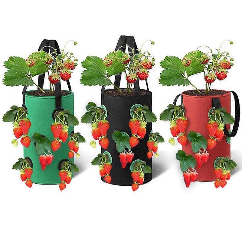 New felt hanging strawberry planting bag