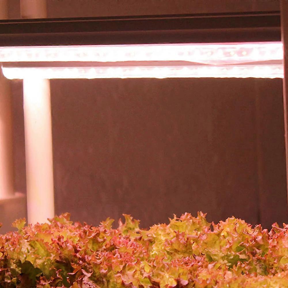 Hydroponics machine lamp set EU