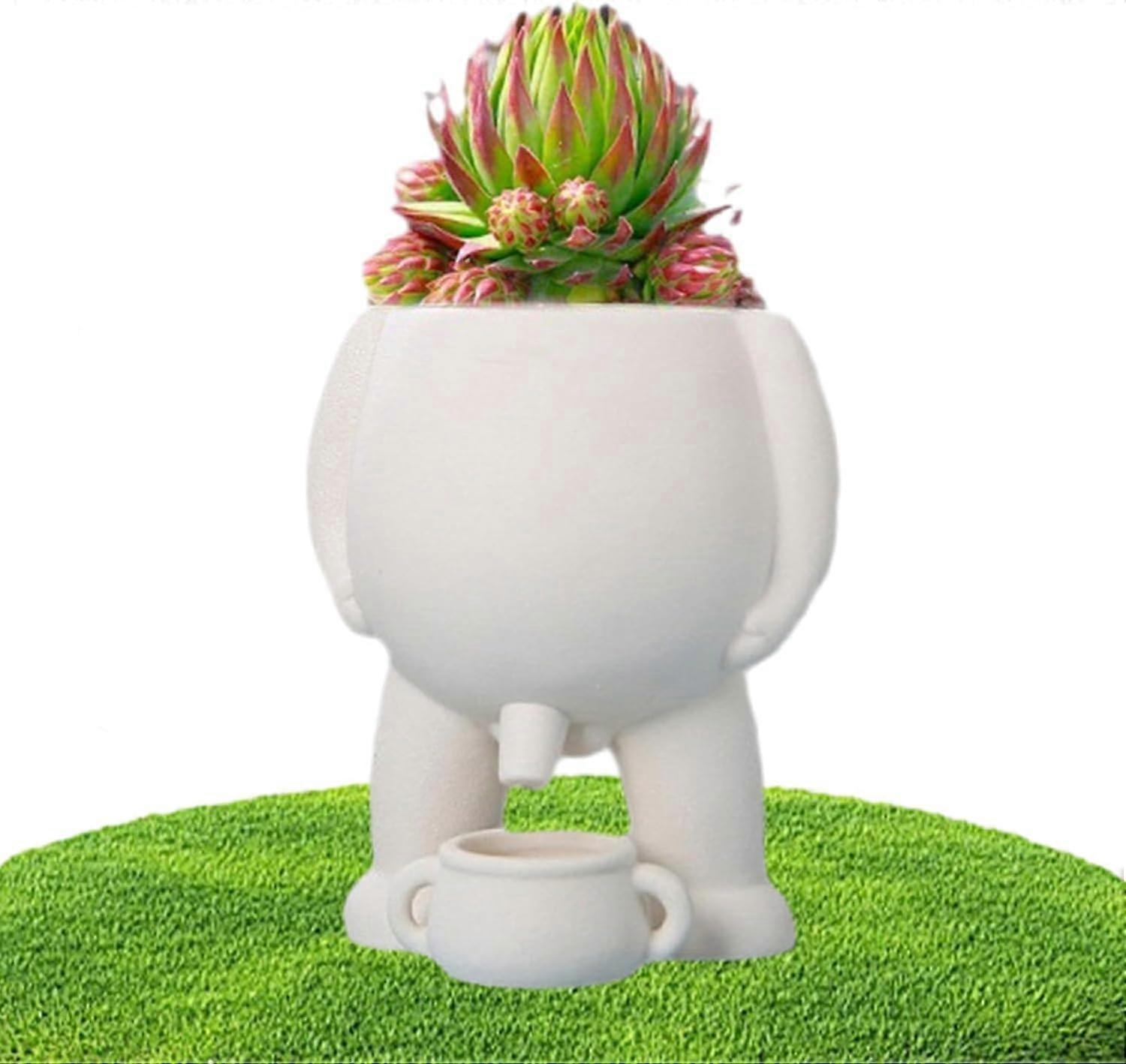 Peeing Flower Pot Planter - Funny Succulent and Cacti Pot with Drainage, Boy Peeing Design, White Ceramic