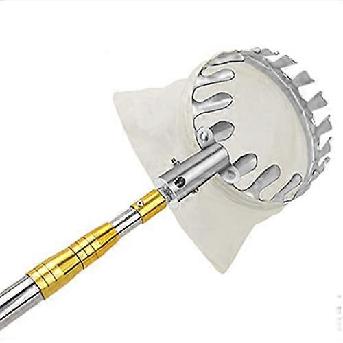 Fruit picker with telescopic pole, aluminum basket, and stainless steel – ideal for easily picking fruit from heights.