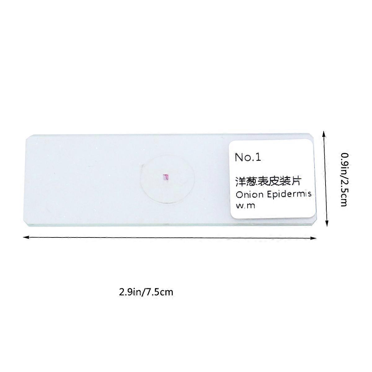 Glass Specimen Slides for Studying Use Biology Sample Specimens 10Pcs Set