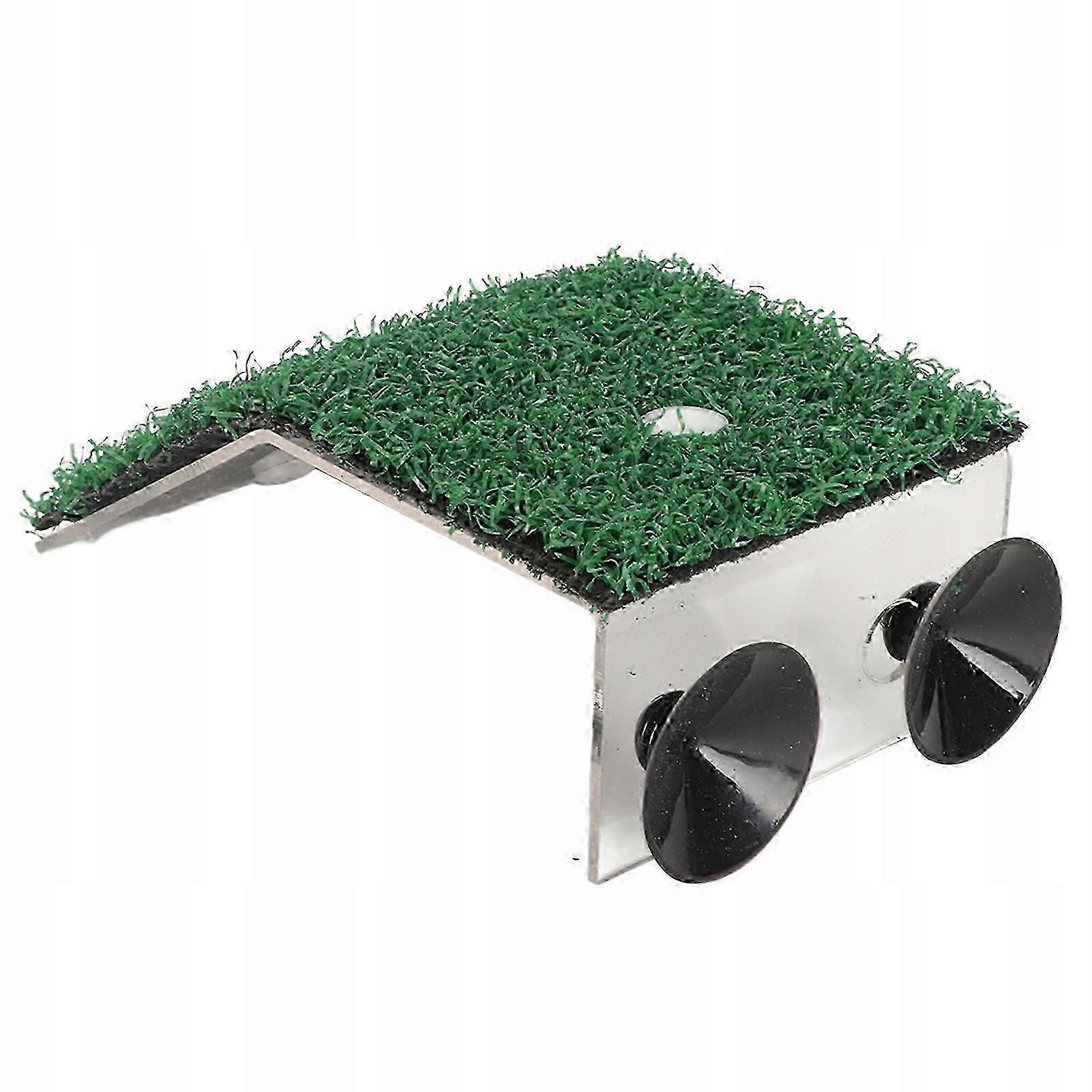 2026 Baby Turtle Basking Platform