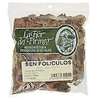 senna follicles 40 g