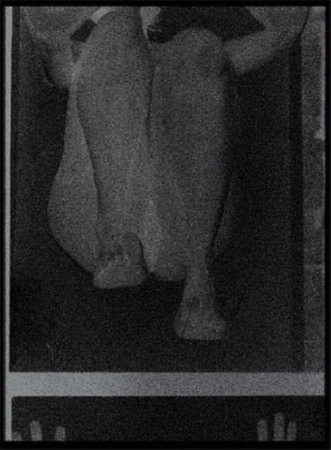 Replica by Rita Lino Hardback Book