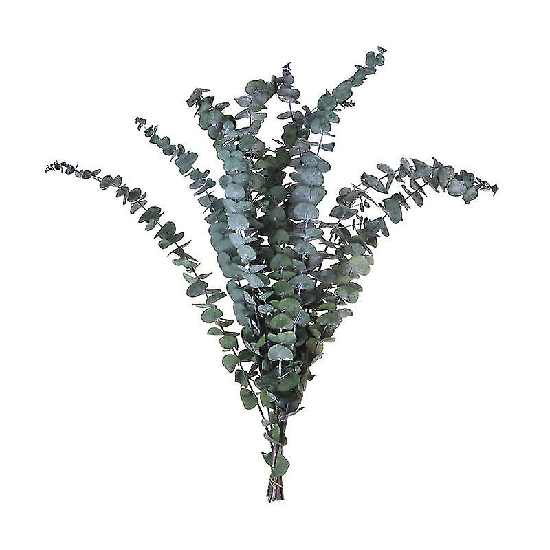 10pcs Dry Preserved Plants