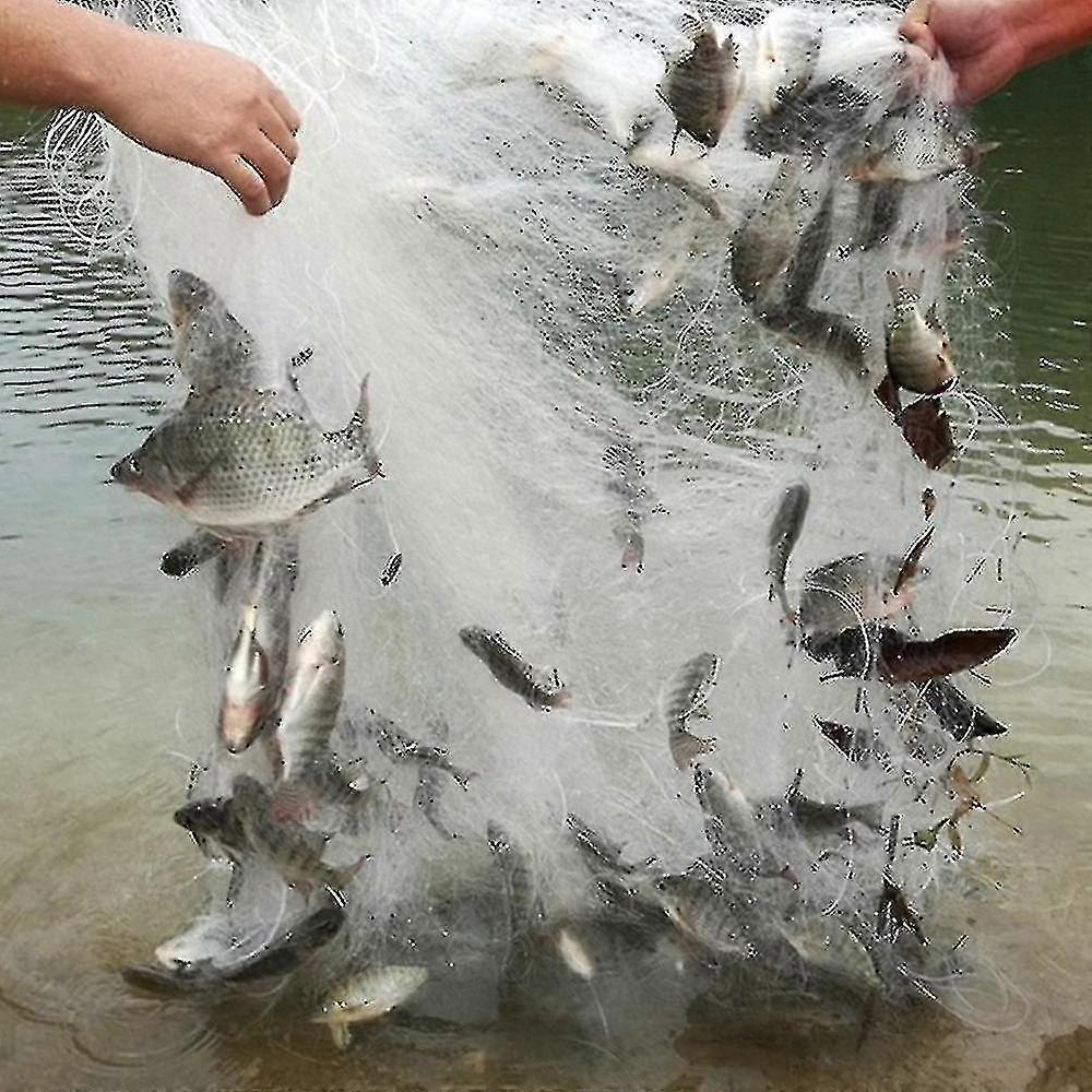 High Quality Fish Gillnet Outdoor Single Layer Monofilament Fishing Net Nylon