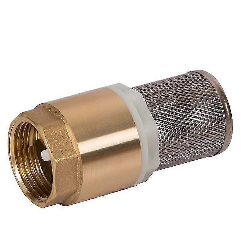 82 x 48mm - 1 inch filter check valve with stainless steel filter and check valve / check valve / pump check valve (no tail)