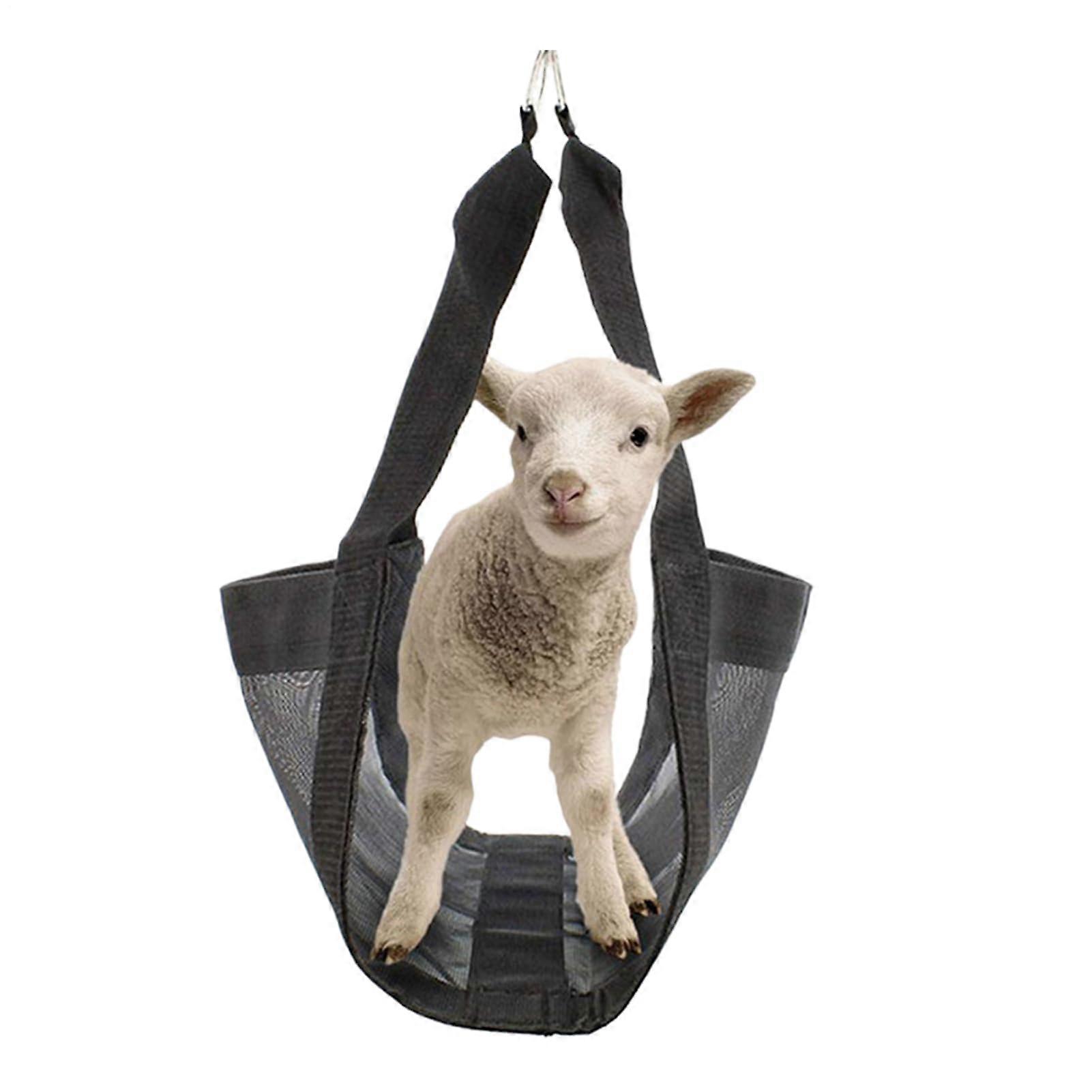 Calf Weighing Sling with Support Straps | Animal Weighing Harness for Calves, Lambs, Goats, Rabbits, Puppies