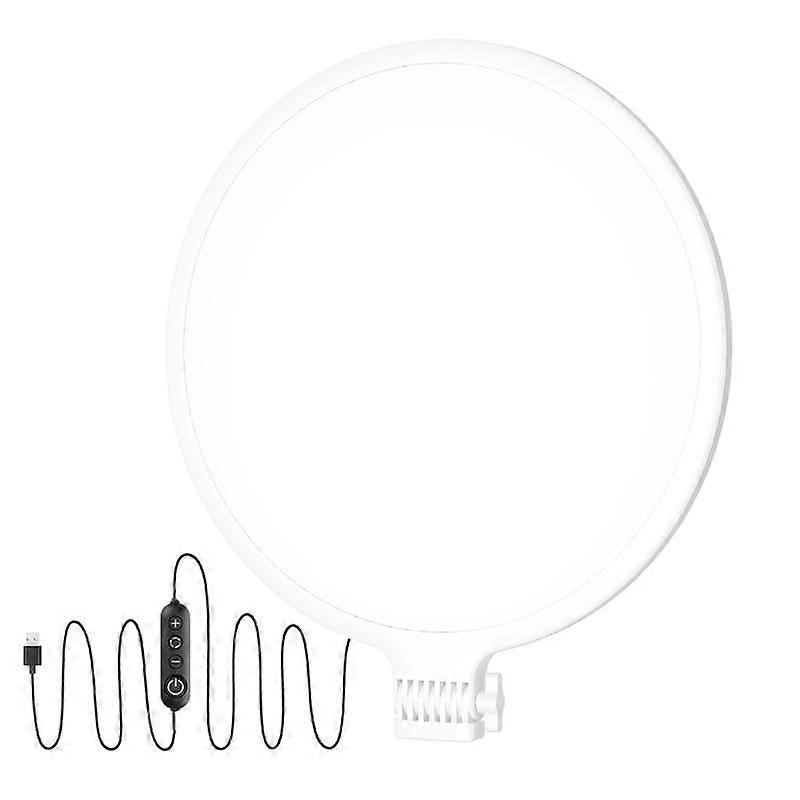 Live Photography LED Fill Light 10inch（White）