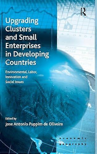 Upgrading Clusters and Small Enterprises in Developing Countries: Environmental Labor Innovation and Social Issues