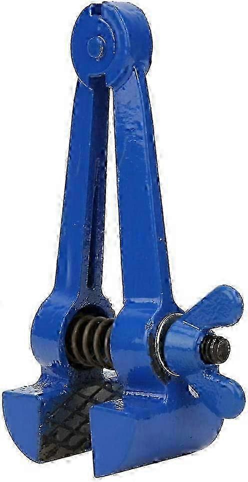 Mini Hand Vise,45# Blue Steel Multi-Purpose Small Clamp Small Hand Pliers Hardware Tool (50mm)