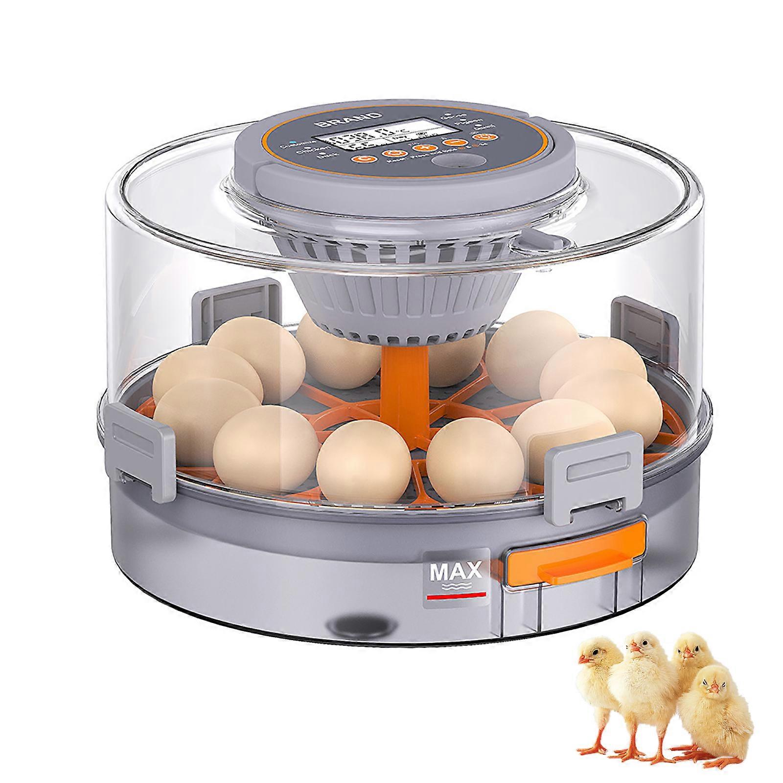 Intelligent Thermoregulation Chicken Incubator With Energy Saving Manner And Automatic Oocyte Turn Multicolor