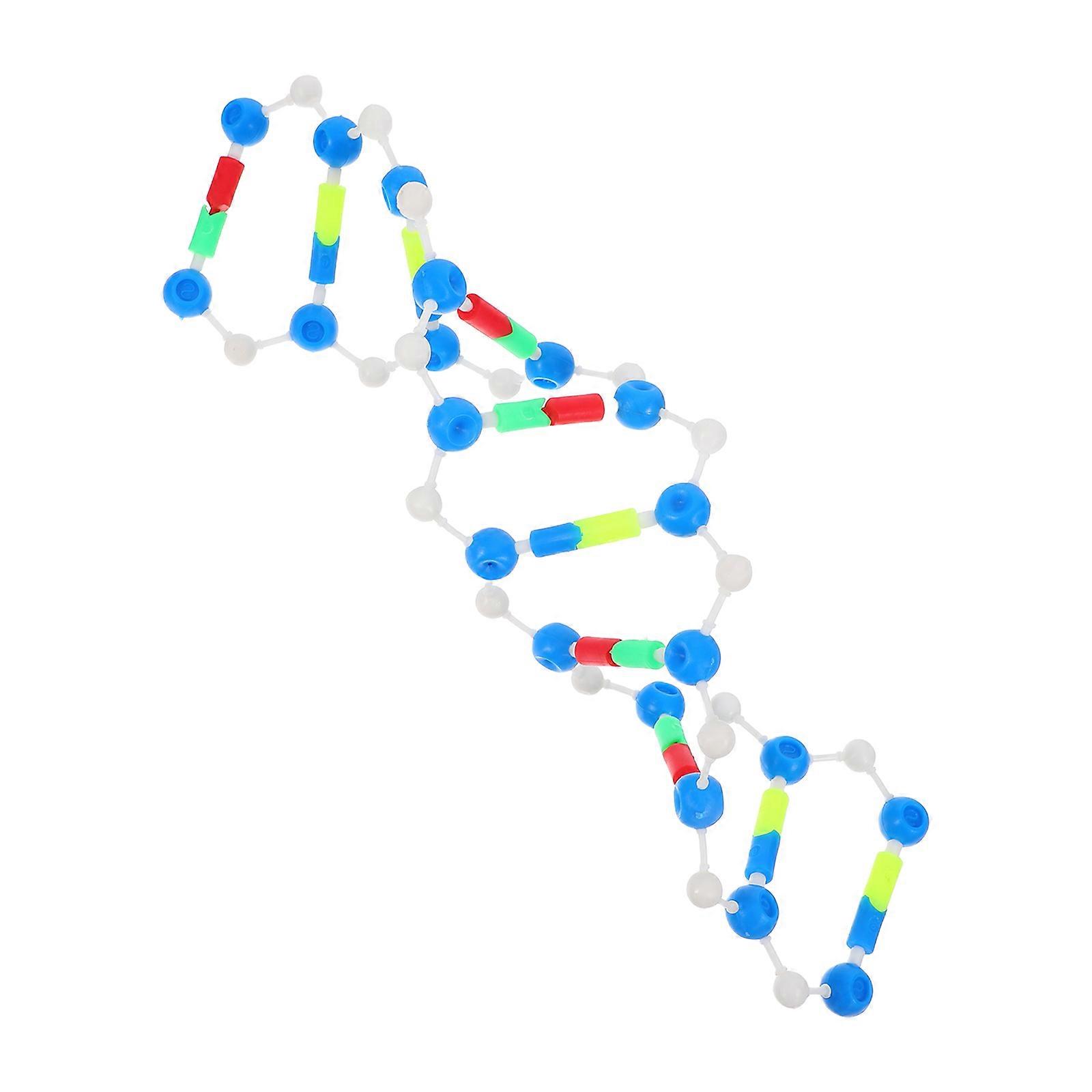 Double Helix Gene Model Educational Tool for Students Teaching Kit