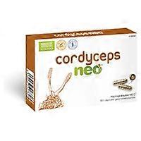 Cordyceps 60 capsules