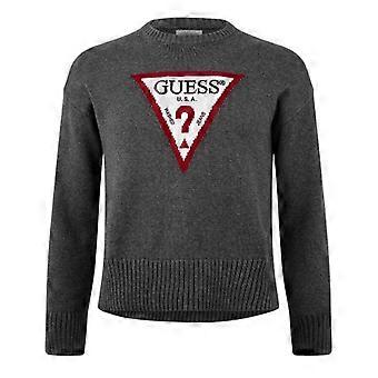 Guess Womens/Ladies Knitted Crew Neck Regular Jumper