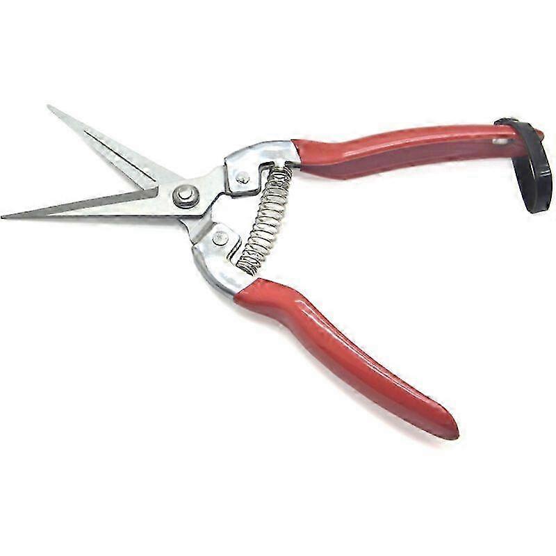 Fruit shears, fruit shears, pruning shears, grape shears, garden shears, garden tools