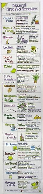 Natural First Aid Remedies Chart by Liz Cook Wallchart Book