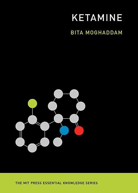 Ketamine by Bita Moghaddam Paperback