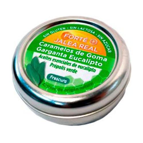 Forté Eucalyptus Gum Candies 45 g