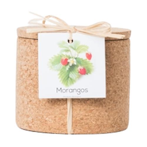 Strawberry-Grow Cork Pot 450 g