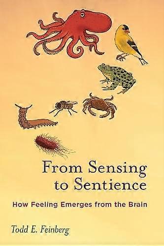 From Sensing To Sentience by Todd E. Feinberg Paperback