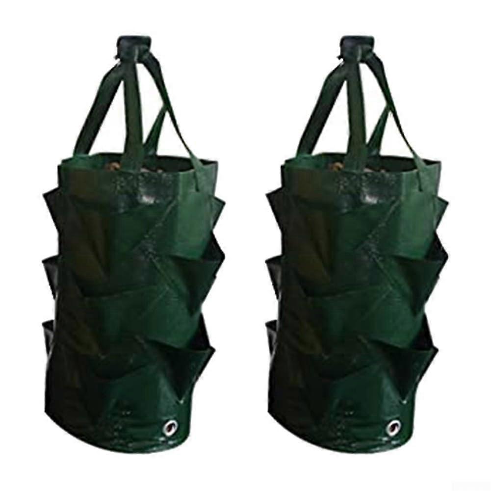 Strawberry Plant Bags, 2 Hanging Strawberry Planter Containers with Handle for Vertical Garden Use