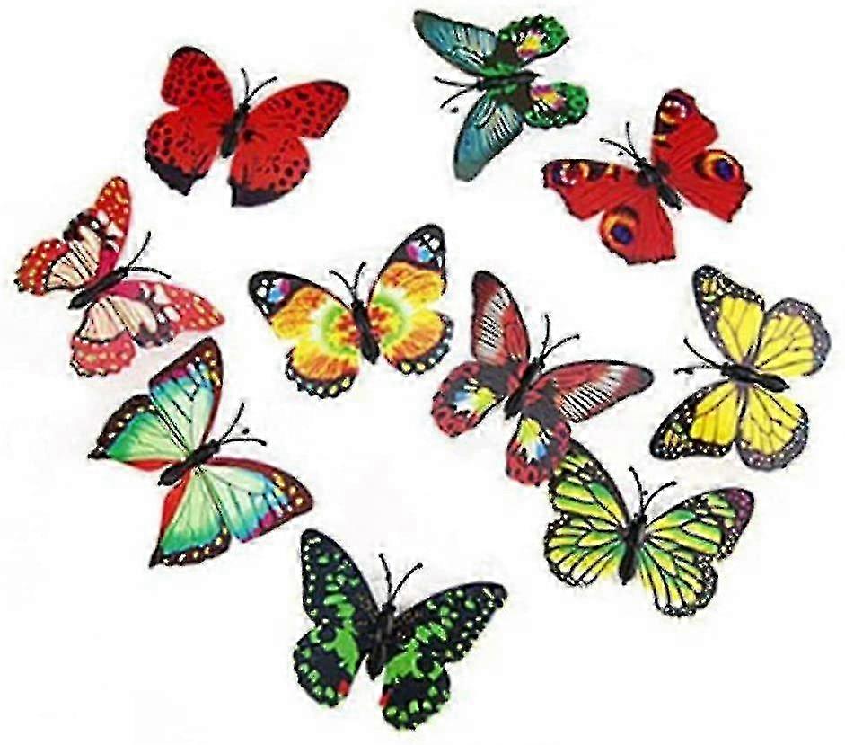 Butterfly Lights