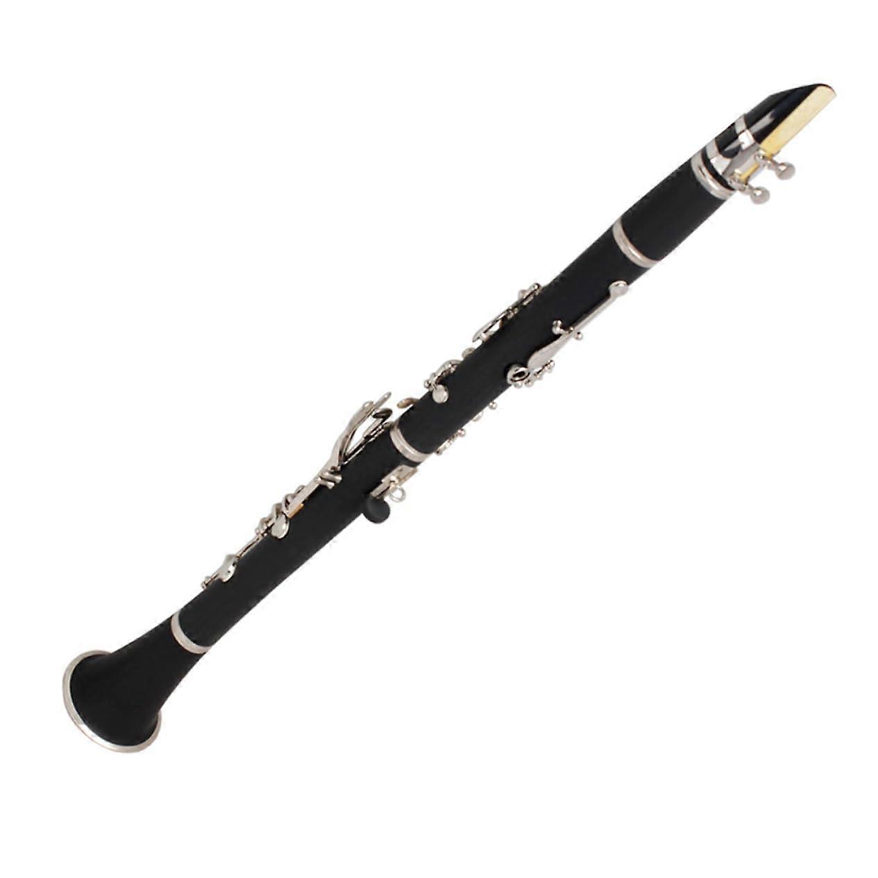Beginner B Flat Clarinet for Students with Durable Build, Rich Tone and Protective Case